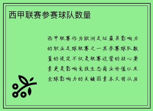 西甲联赛参赛球队数量